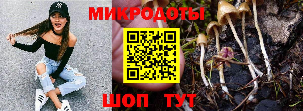 Галлюциногенные грибы прущие грибы Калач-на-Дону